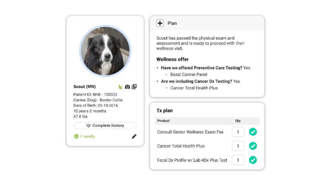 ezyVet wellness