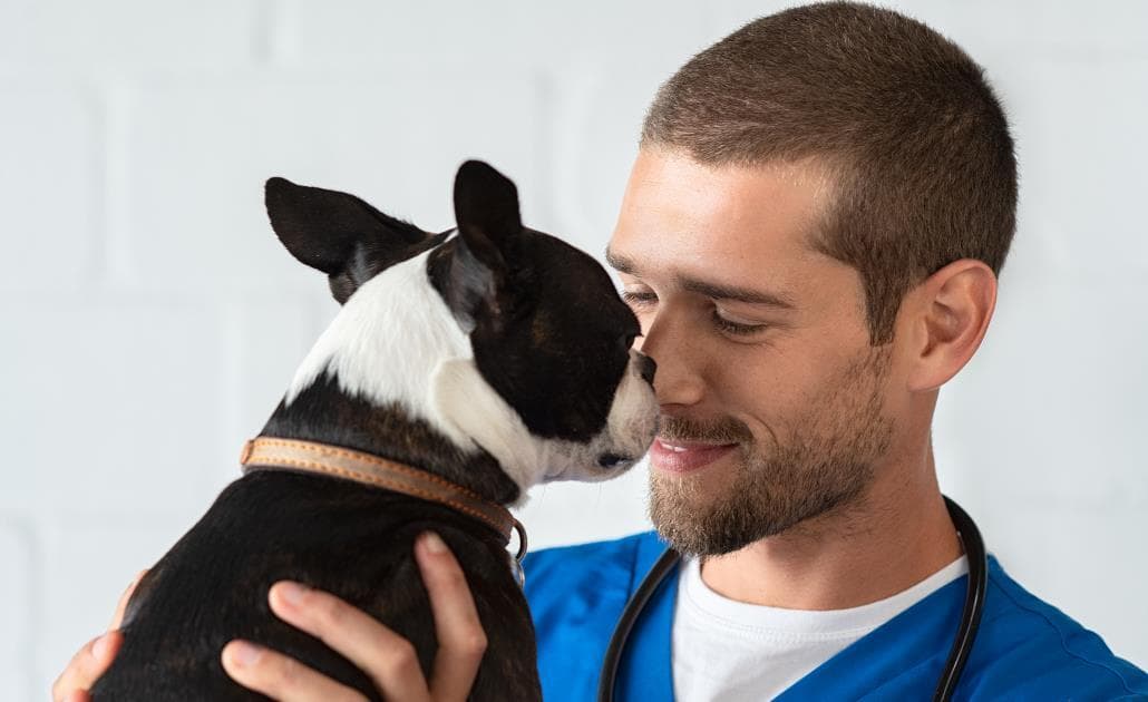 Vet holding dog 1030 x 630