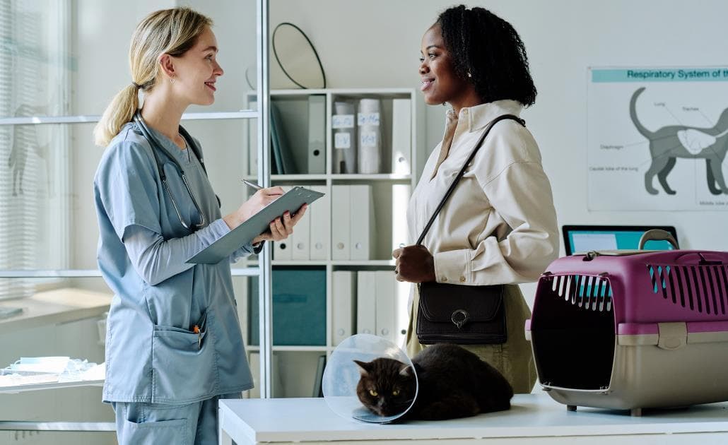 Vet with cat owner 1030 x 630