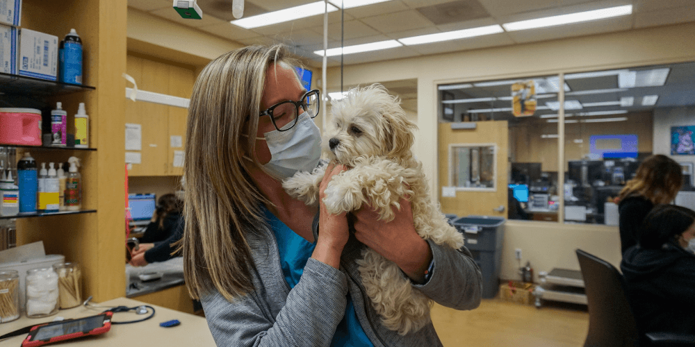 Alicia Pet Care Samantha Vet Tech 1000 x 500 pxt