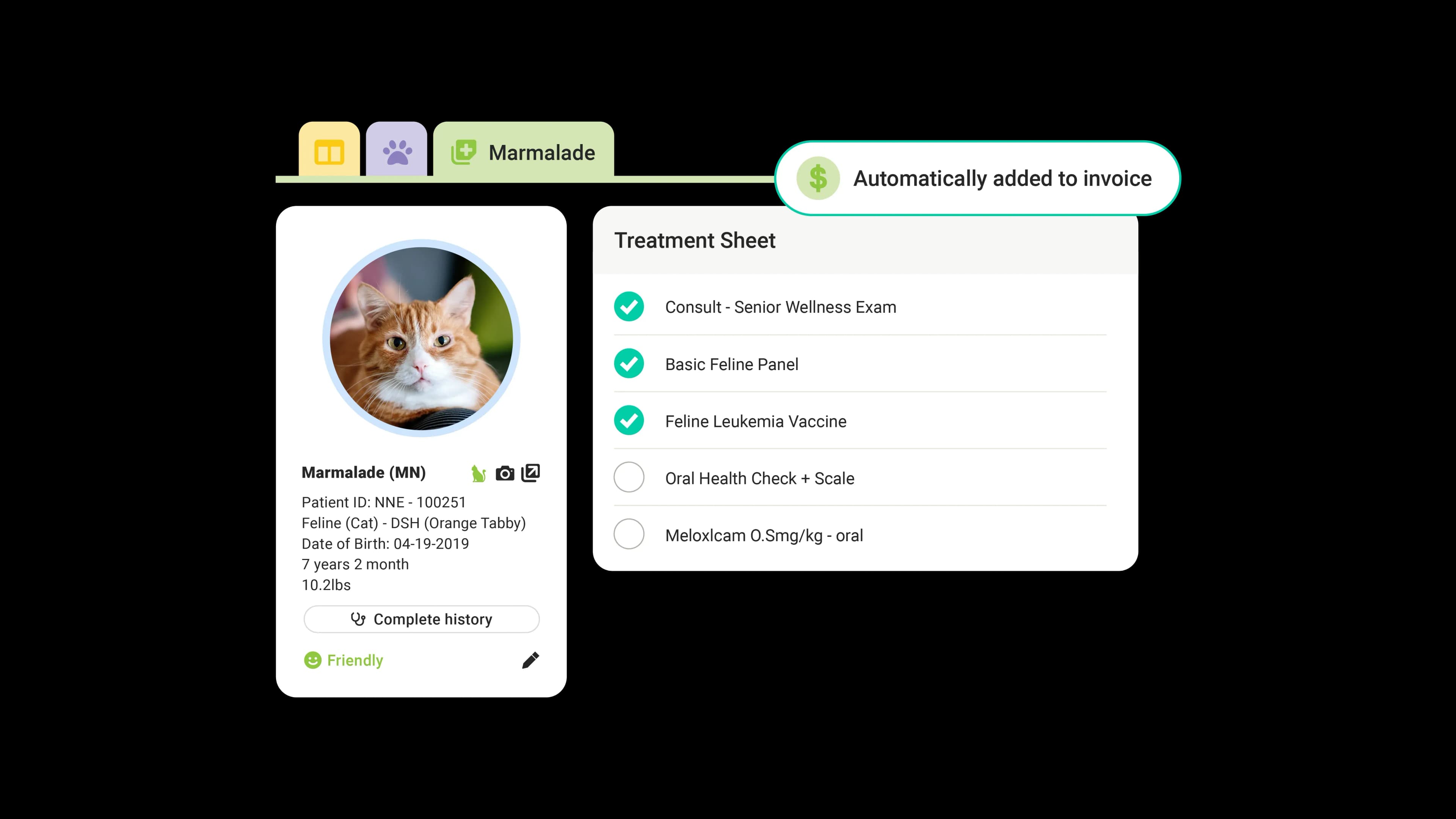 ezyVet Automatic Charge Capture UI