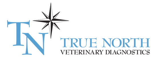 True North