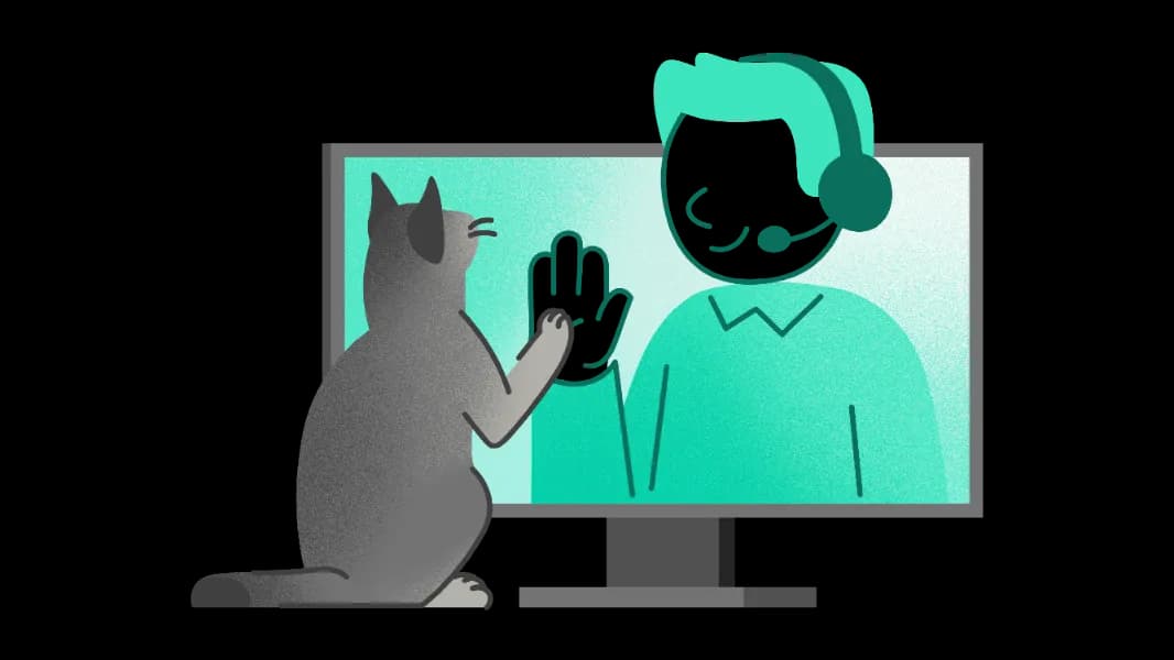 Illustration of ezyVet support.