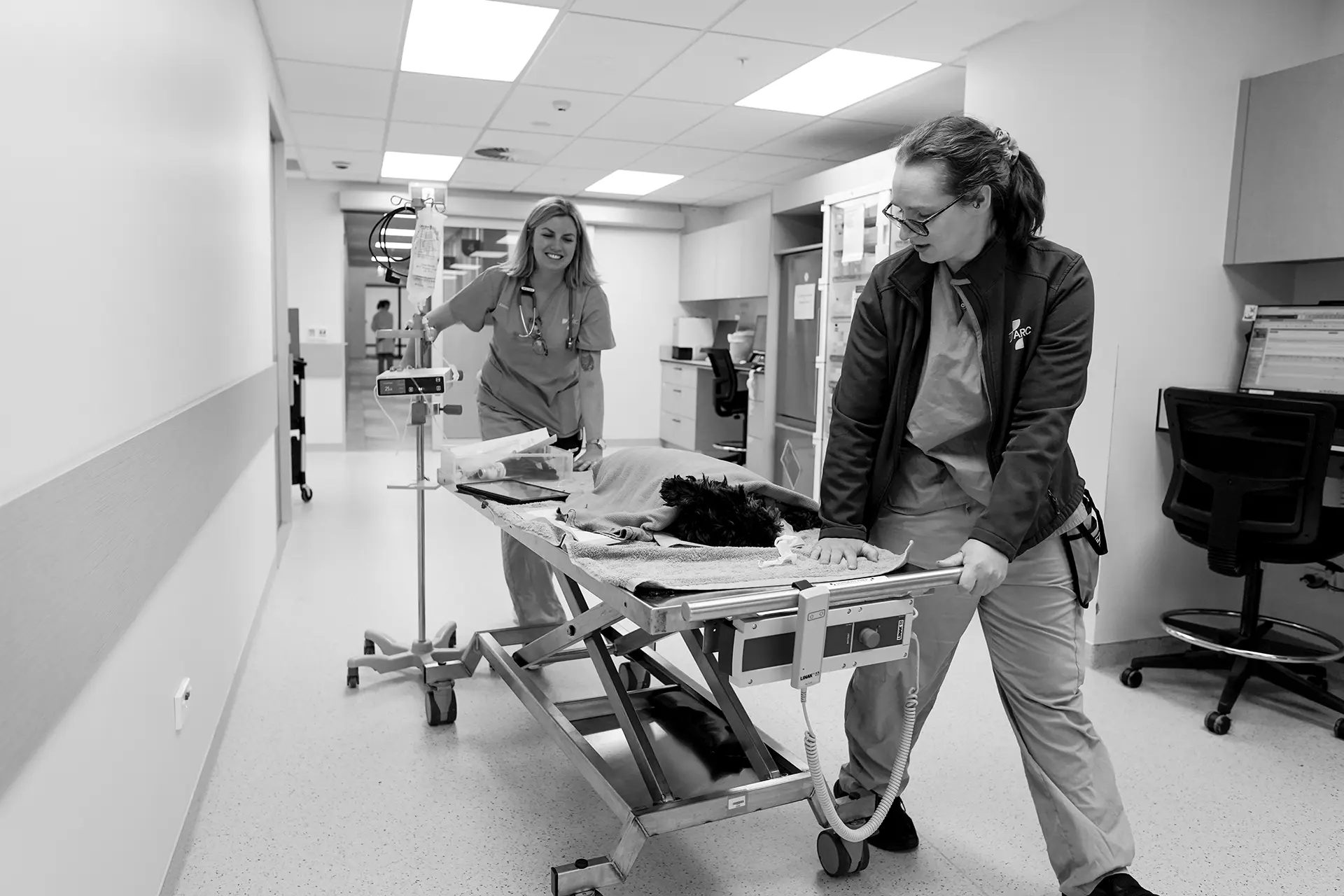 Karen Bomford - Doubleview Vet Centre