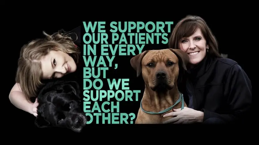 Making veterinary hospitals a better place to work | CE #20-856429 | 1 hour