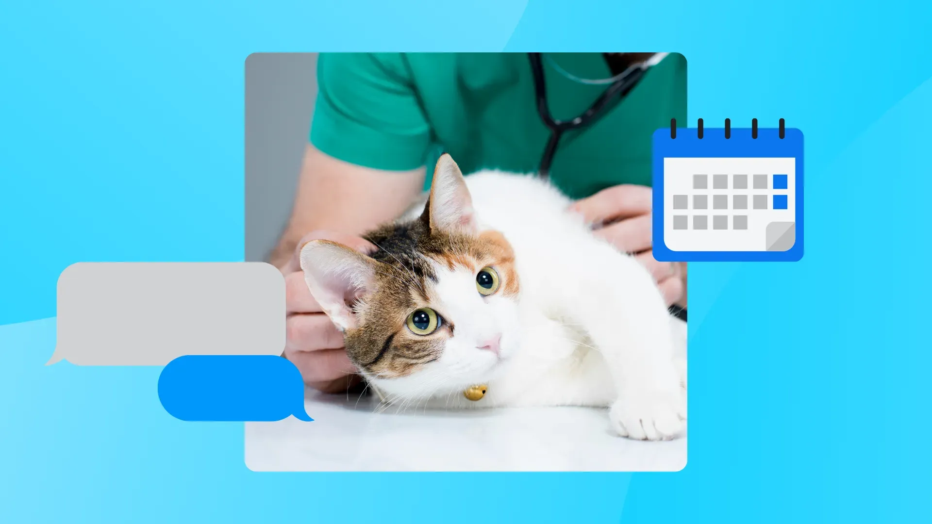 The 6 biggest time wasters in your veterinary practice and how to fix them 1030x630