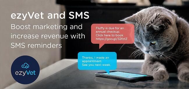 SMS email header