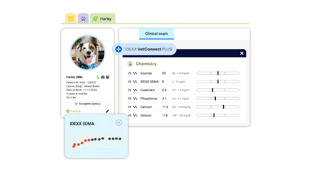 ezyVet UI showing diagnostics workflow.