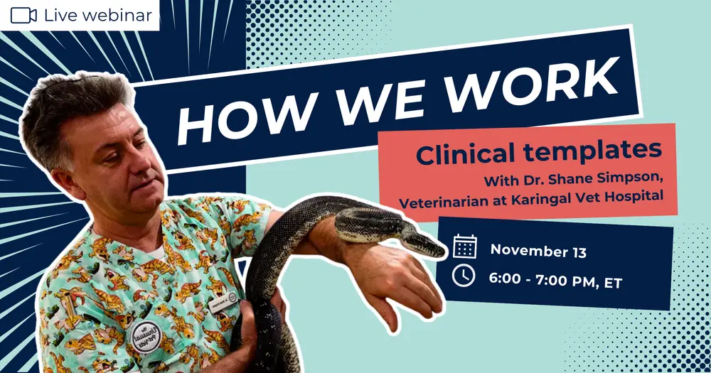 How We Work | Clinical templates with Shane Simpson