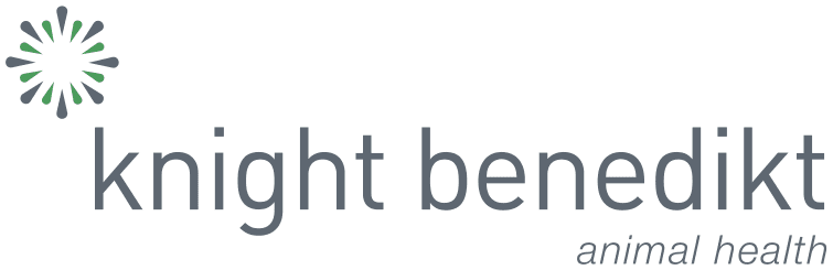 Knight Benedikt