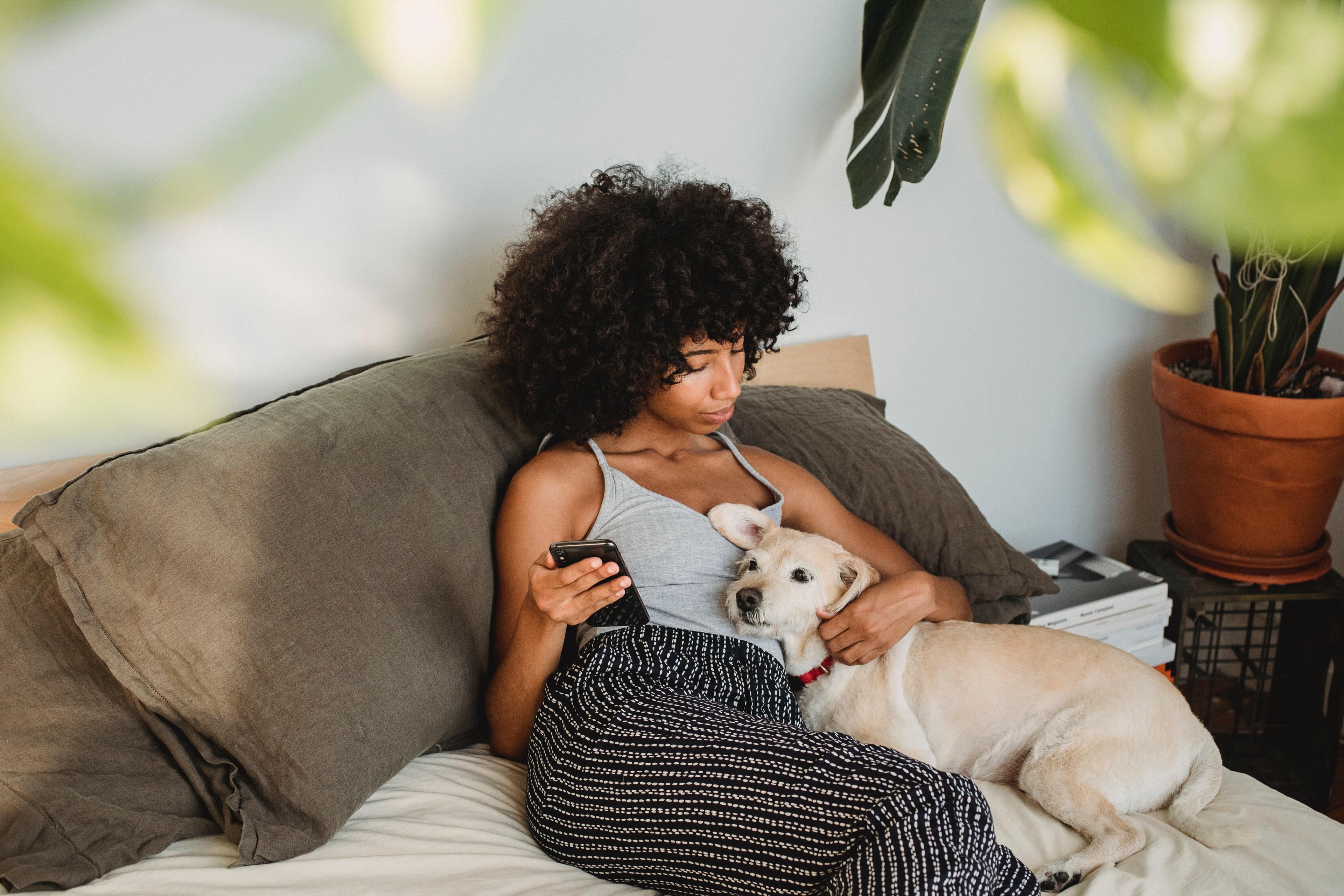 Person on phone petting dog