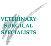 Vssoc logo2x