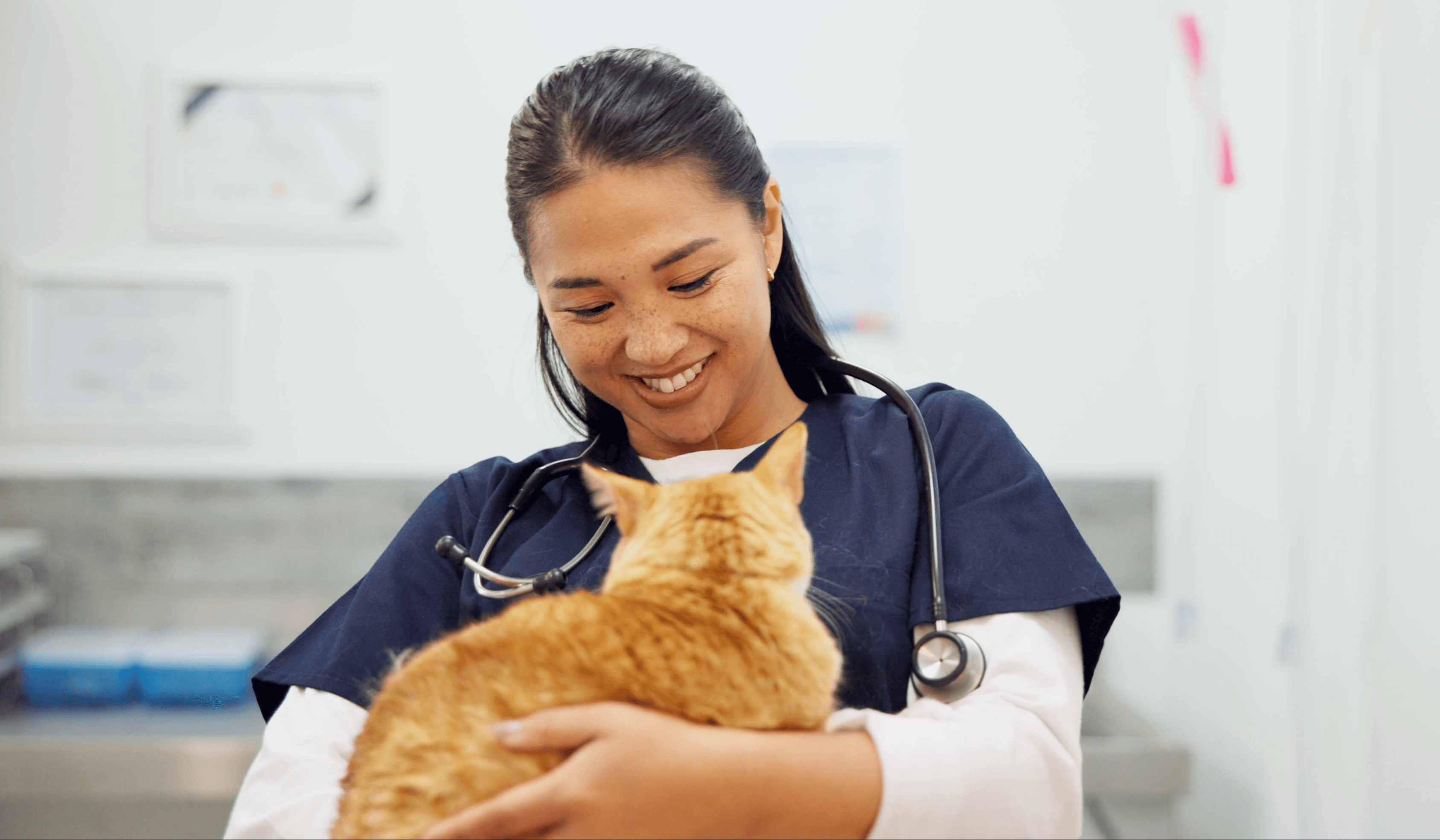 Veterinarian smiling at cat