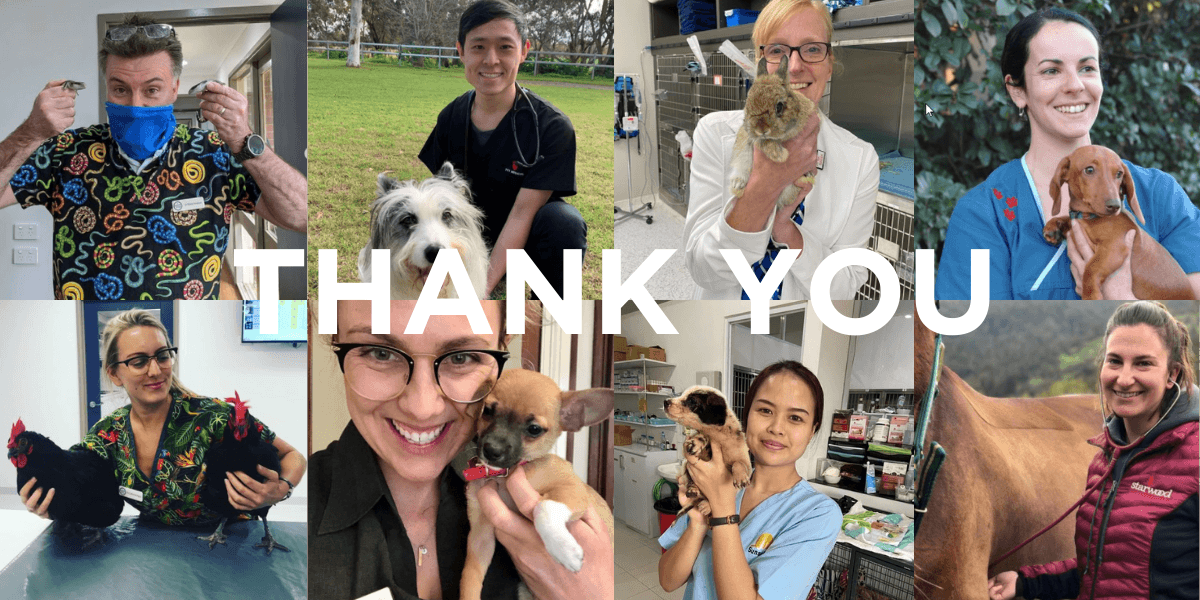 Thank you world Vet day 1200 x 600 pxt