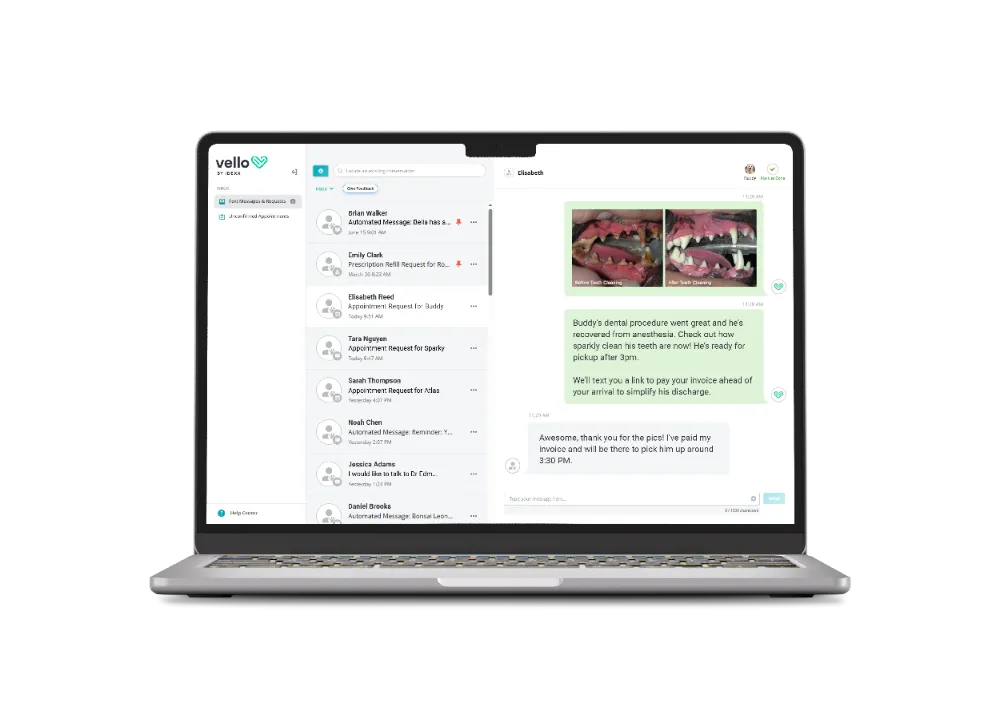 Vet tech monitoring patient while using ezyVet on a tablet