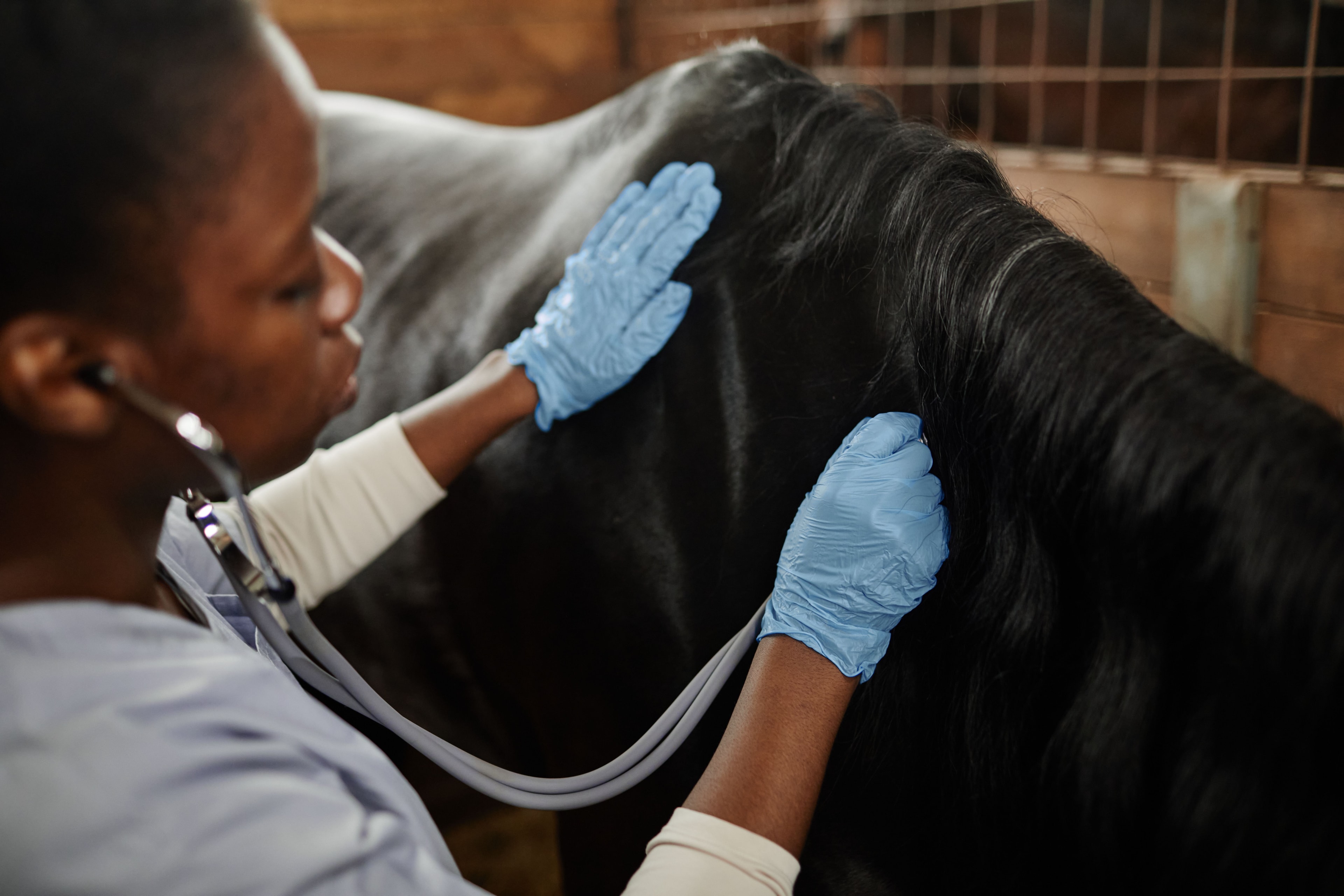 Veterinary team in scrubs