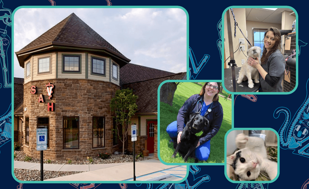 Sunbury animal hospital 1030 x 630