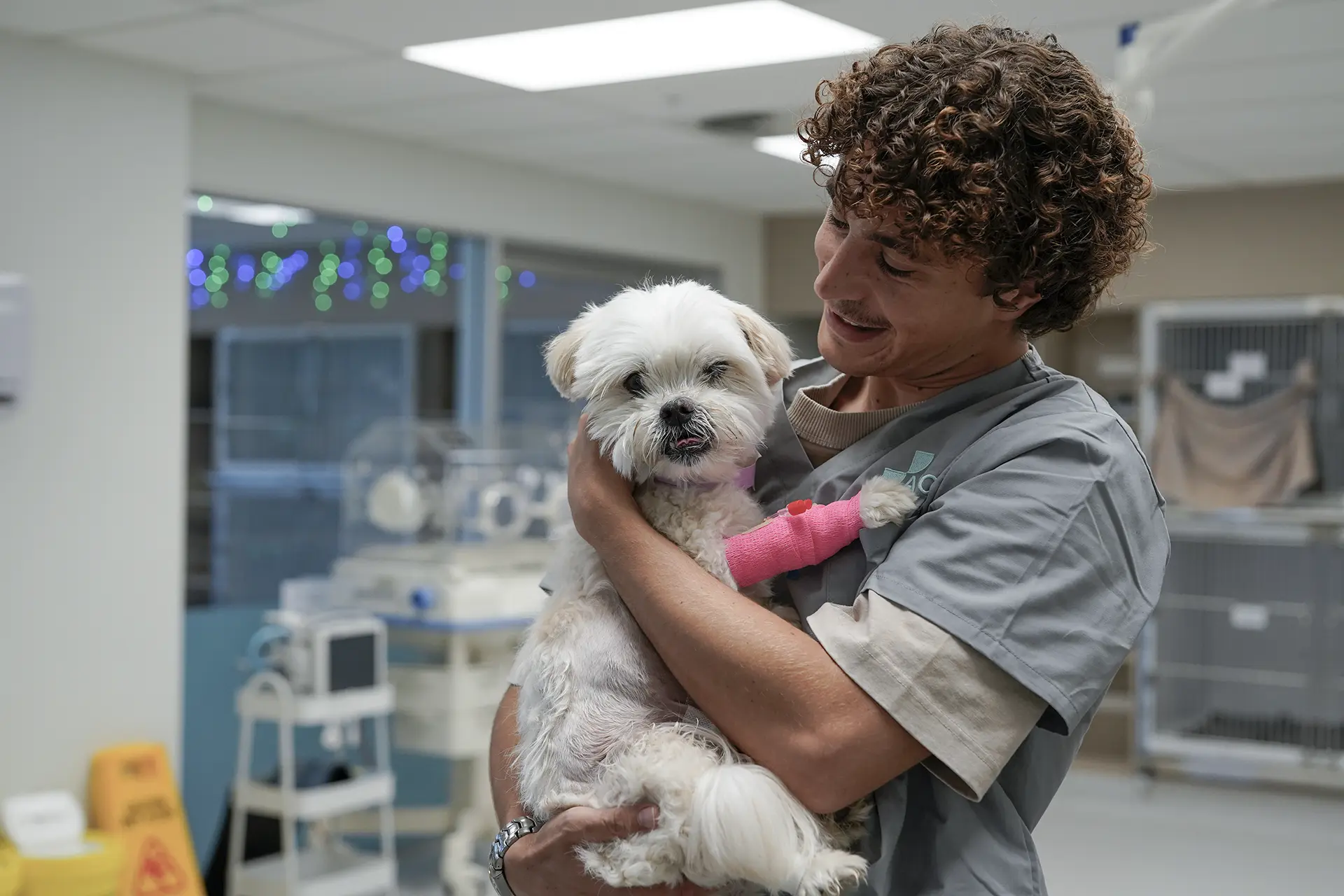 Veterinarian holding a dog