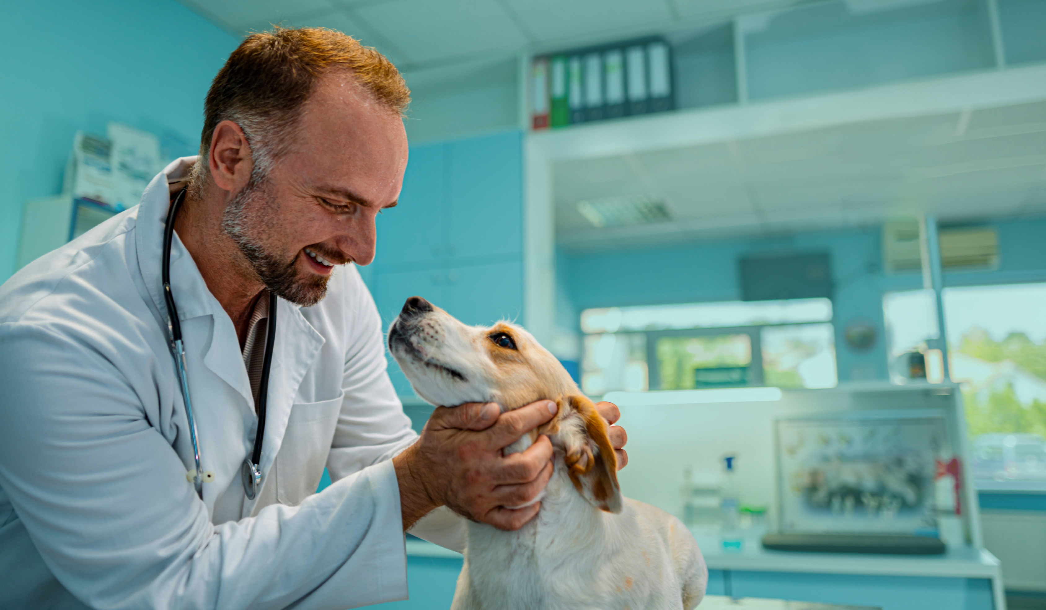 Vet smiling at dog 1030 x 630