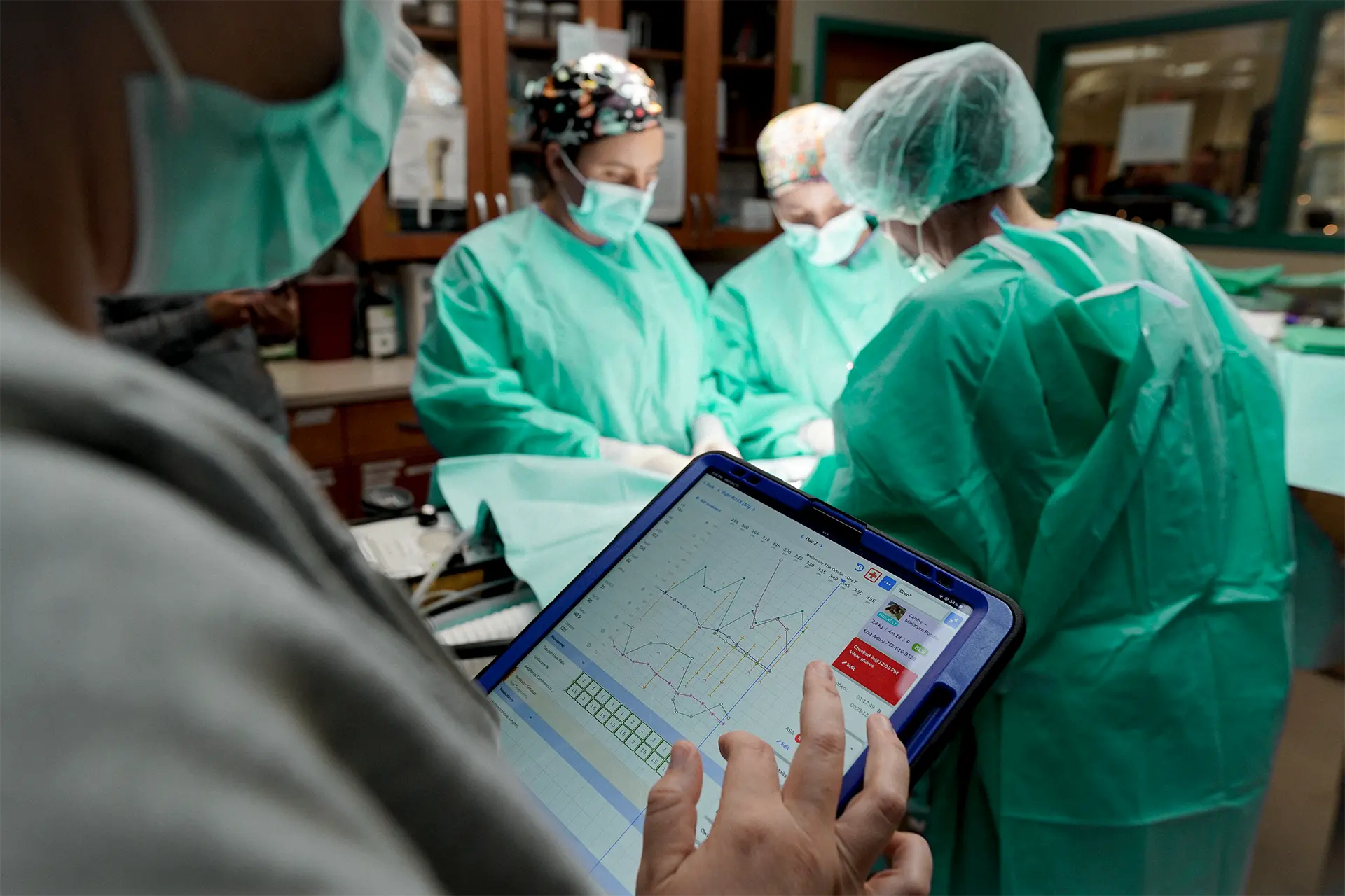Veterinary team in scrubs