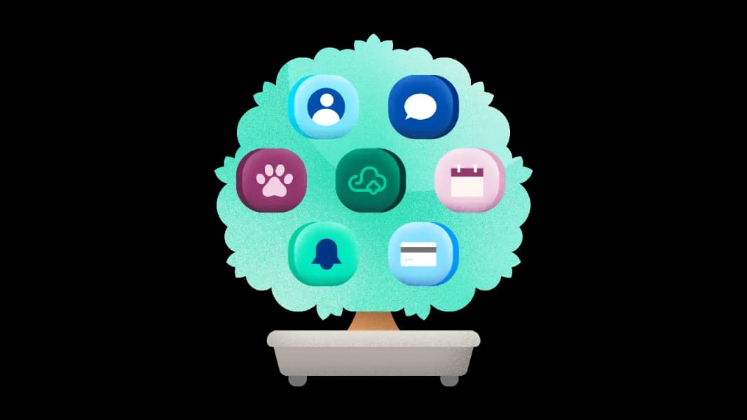 See how ezyVet supports new practices from day one