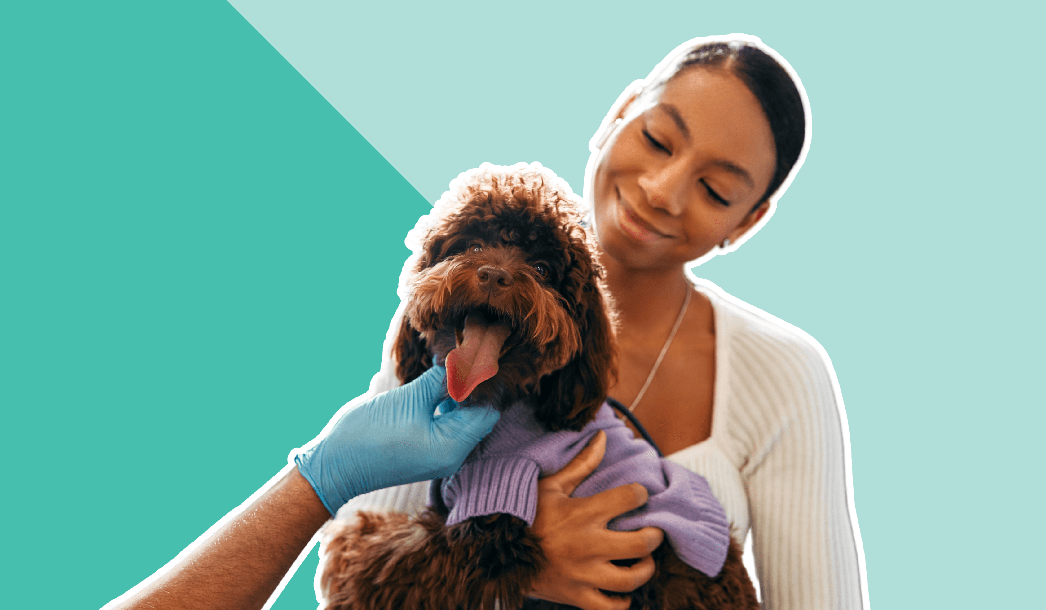 Woman holding happy dog 1030 x 630