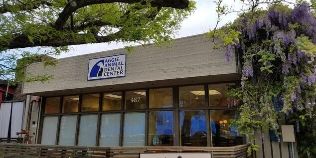 AADC front of building with wisteria blooming
