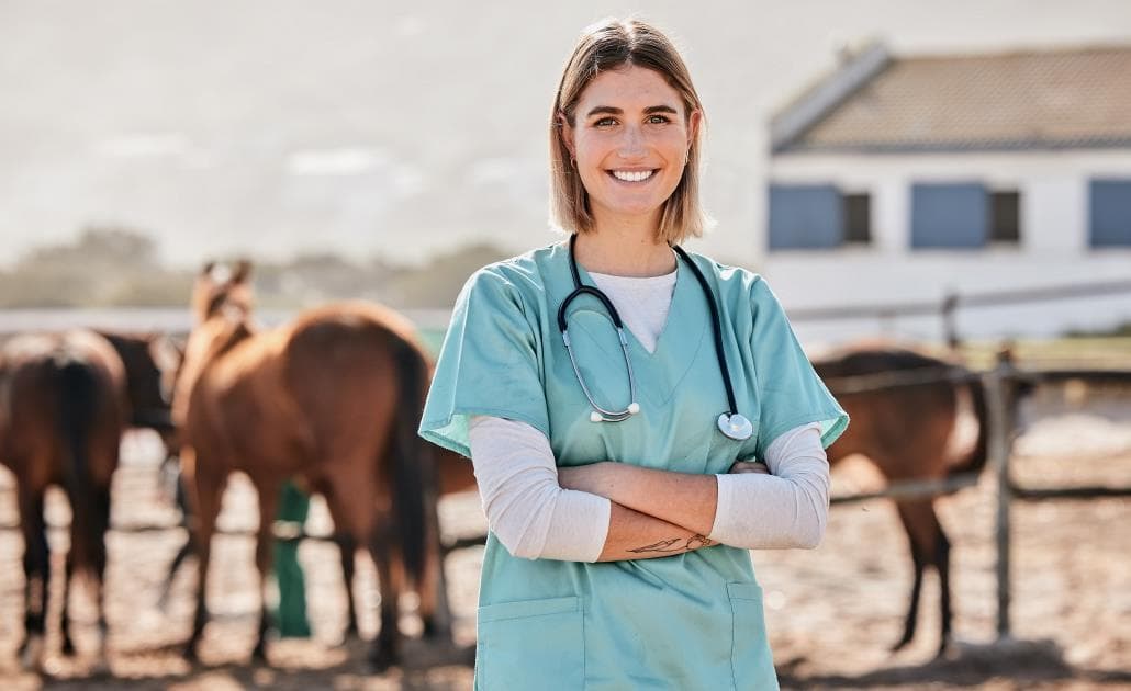 Horse vet 1030 x 630