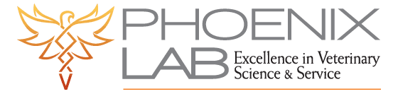 Phoenix Lab