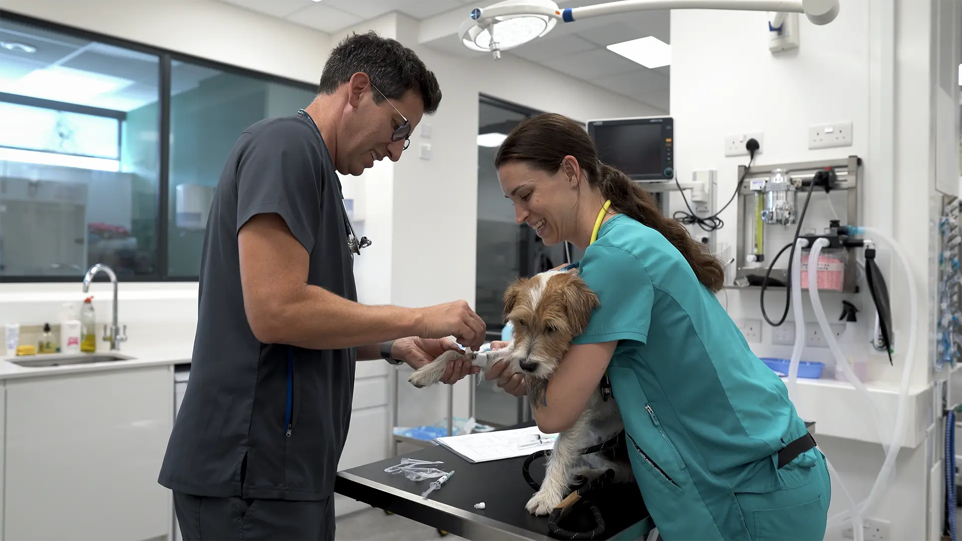 vets