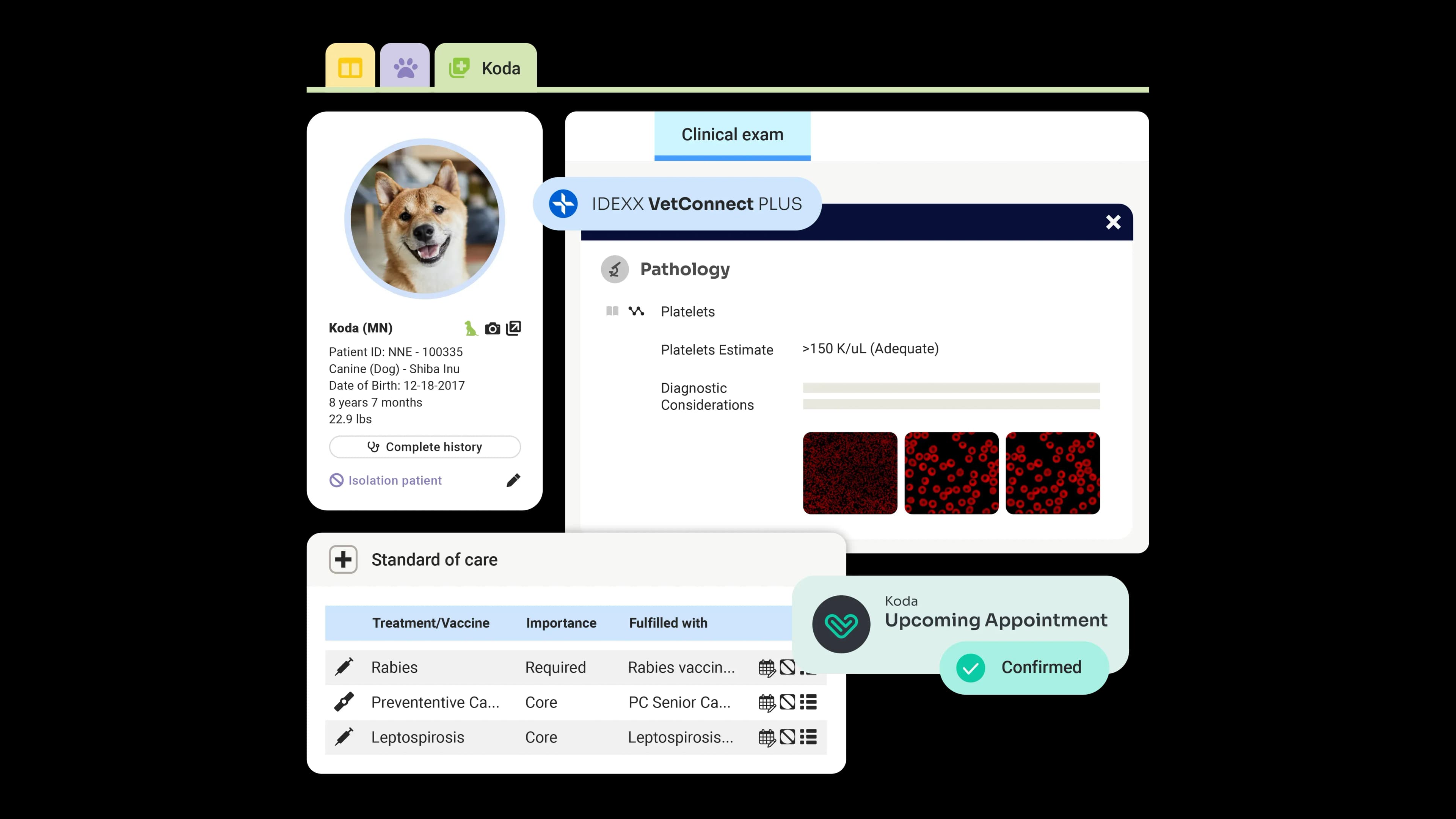 Veterinary professional on the phone while using ezyVet