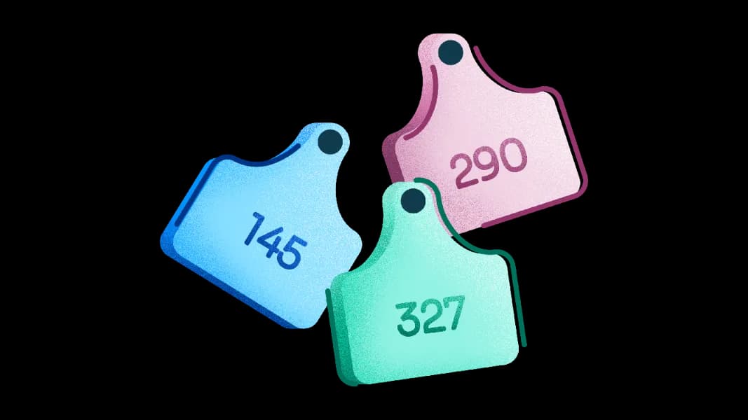 Stylized illustration of reporting in ezyVet