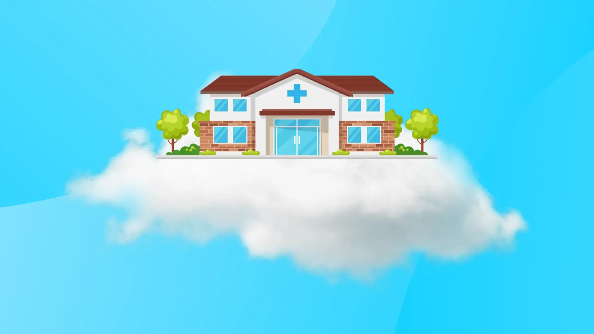 Veterinary practice floating on a cloud