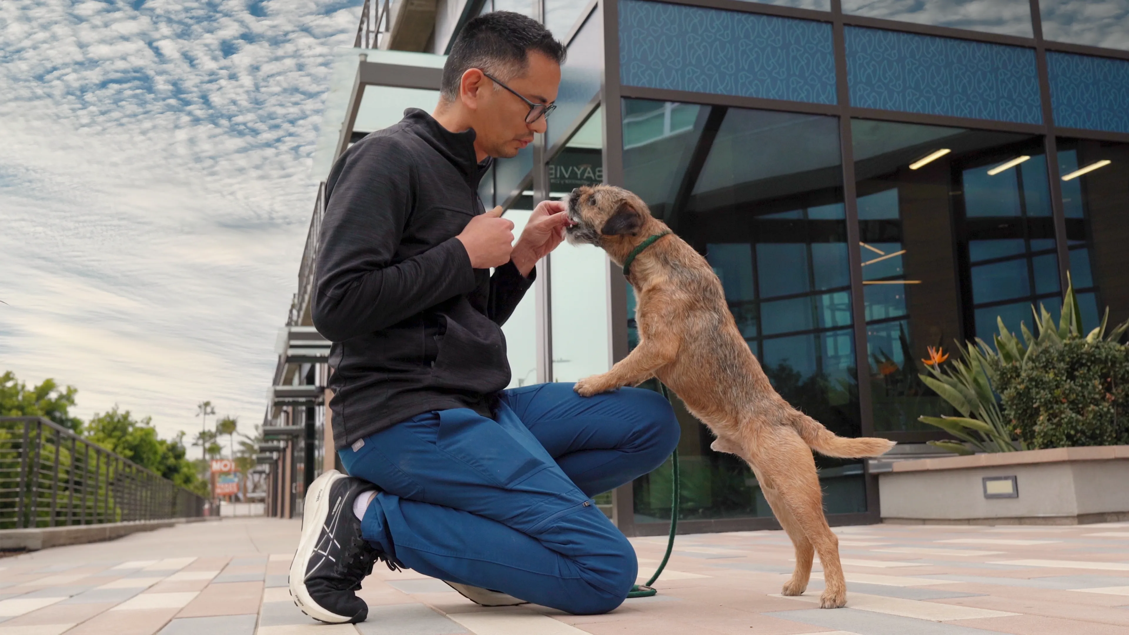 Veterinarian holding feeding dog outside of practice