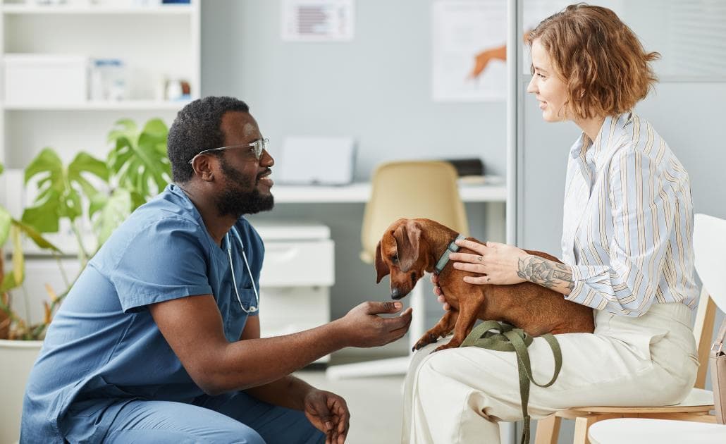 Veterinarian communication 1030 x 630
