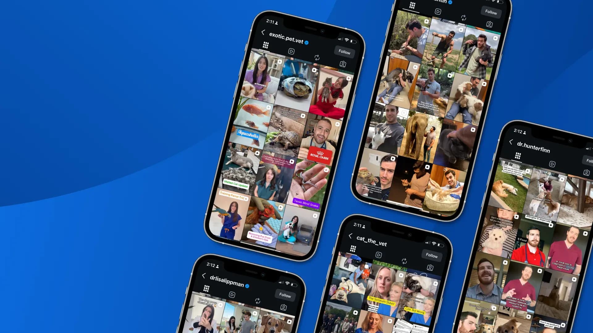 Veterinary influencers 1030 x 630