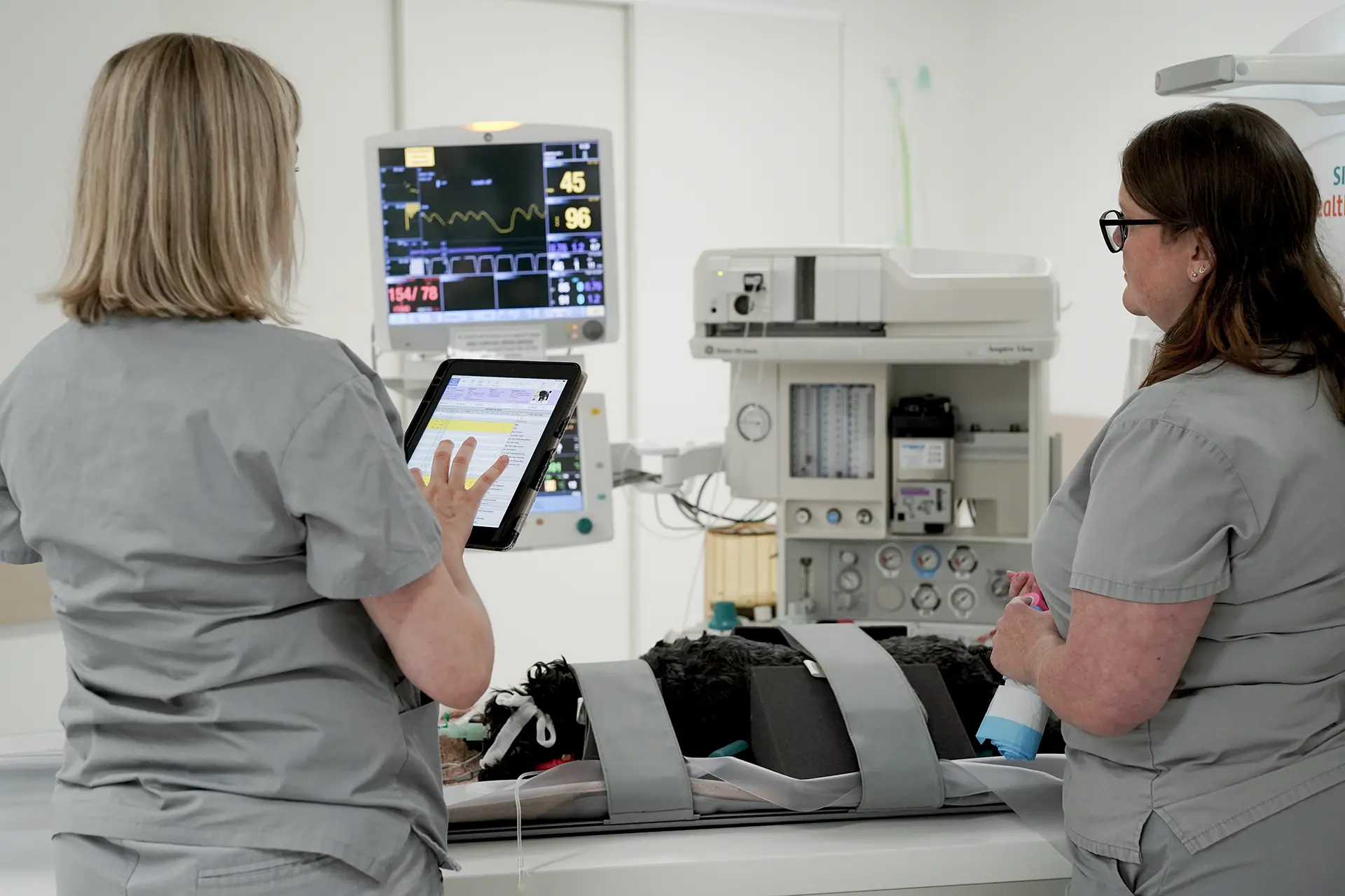 Veterinary team treating dog while using IDEXX software on tablet