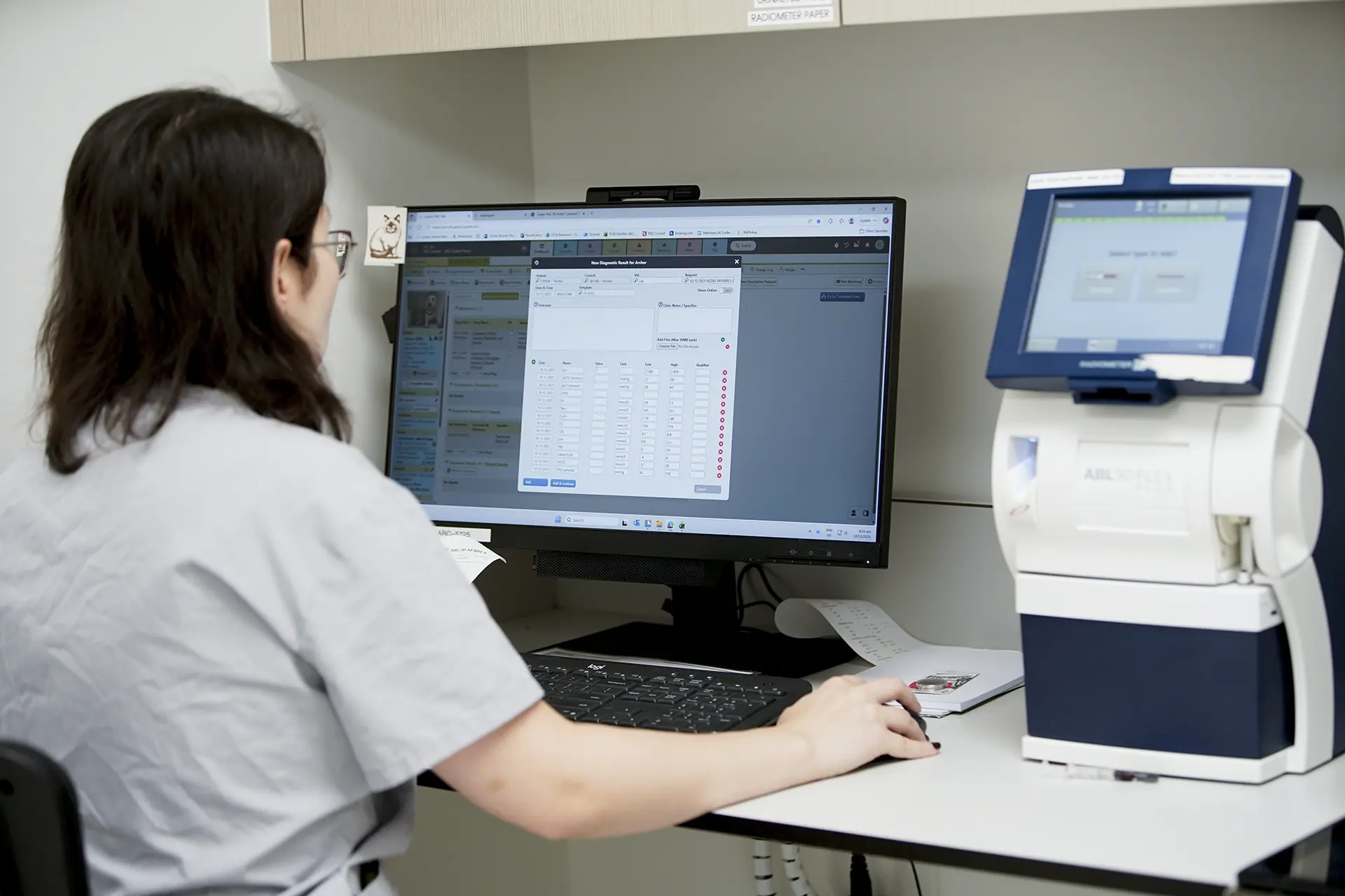 Veterinary professional using ezyVet