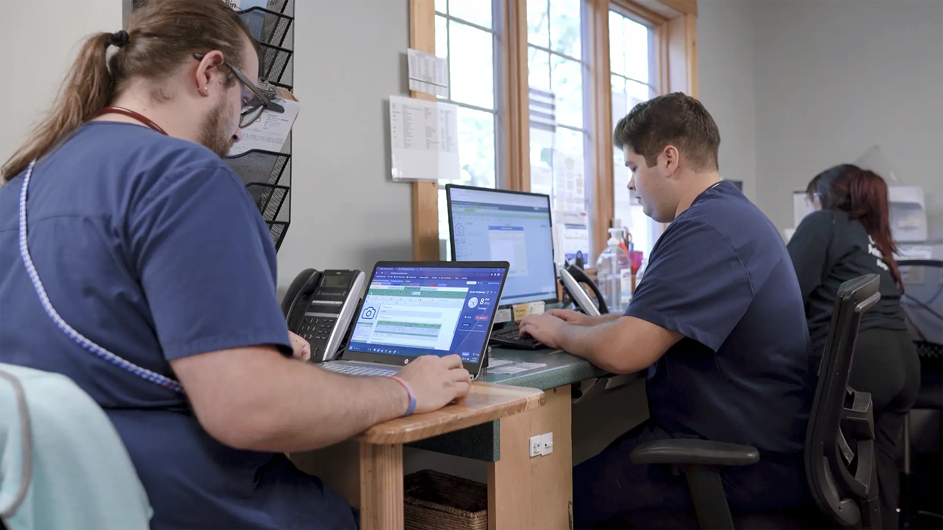 Two veterinarians using computers