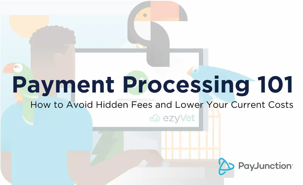Payment Processing 101