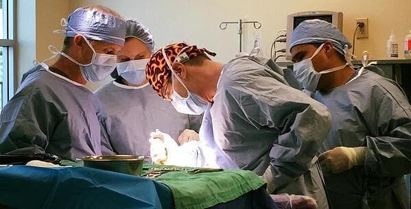 veterinary software being used