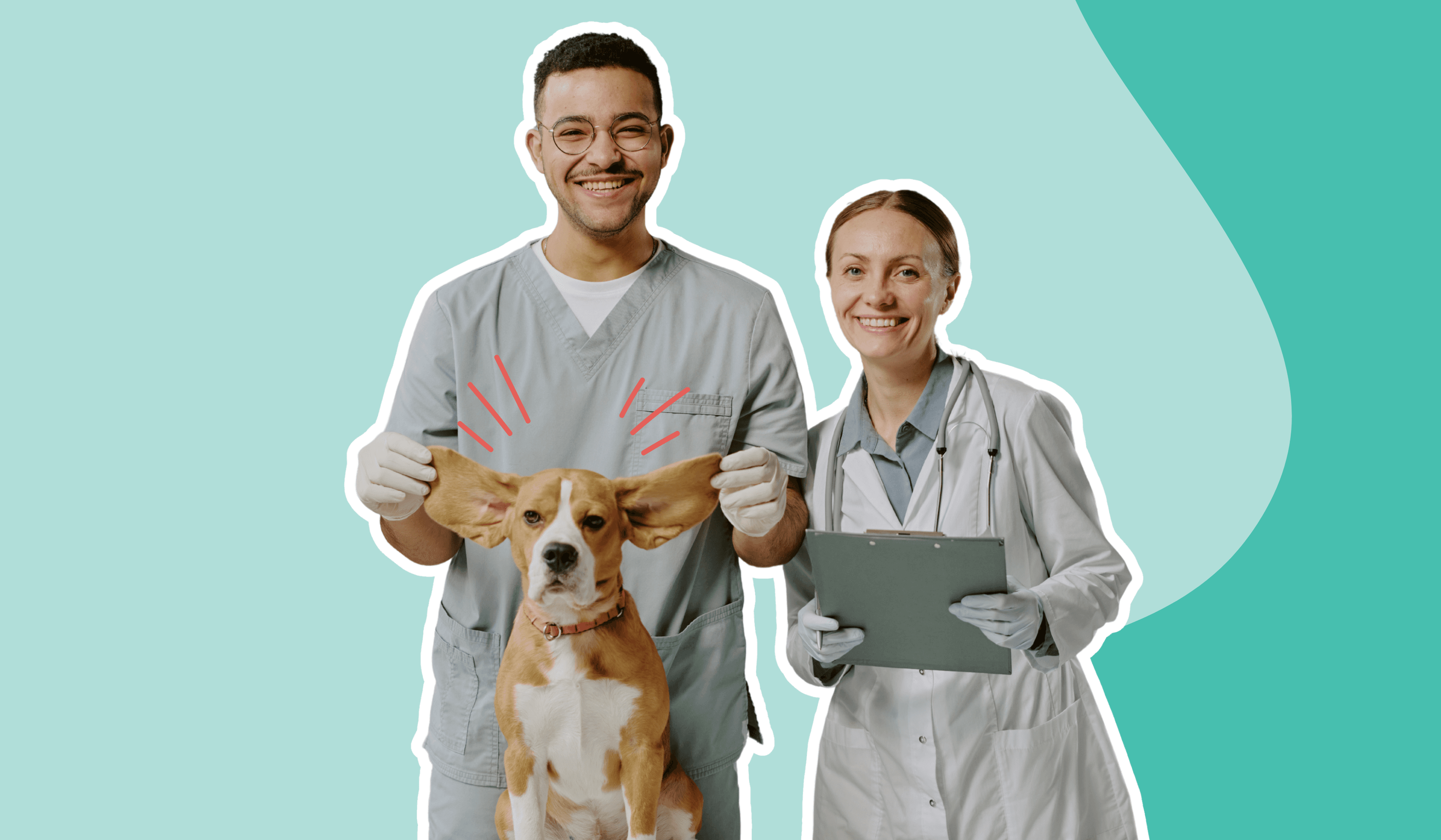 Veterinary team and dog 1030 x 630