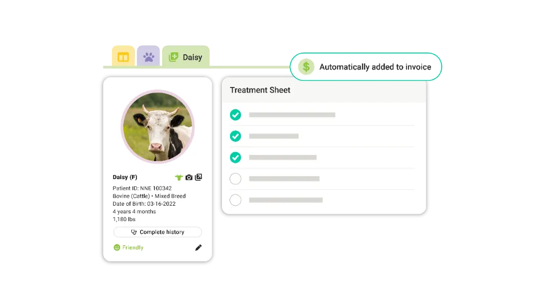 Veterinary staff using ezyVet on tablet
