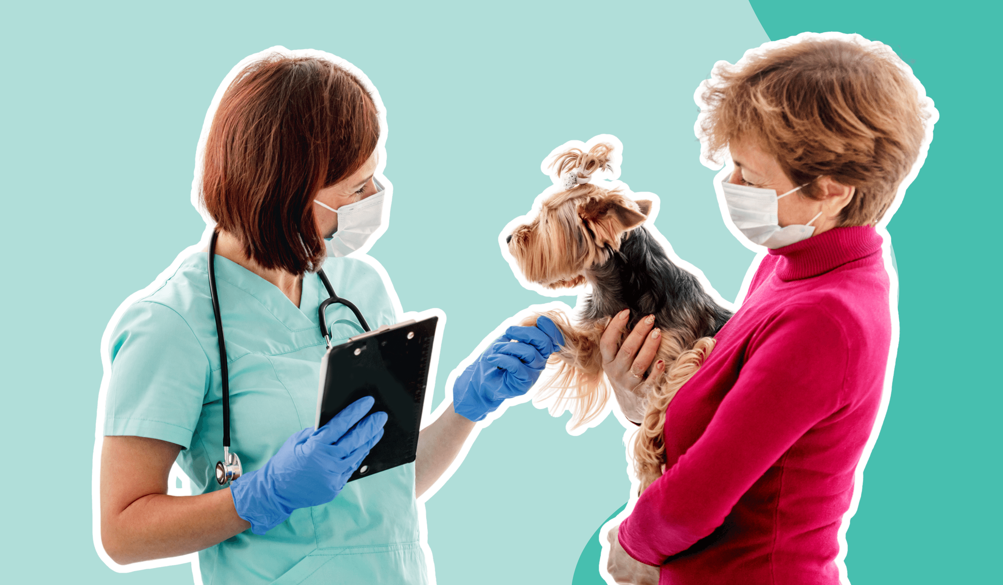 Vet talking to patient with dog 1030 x 630