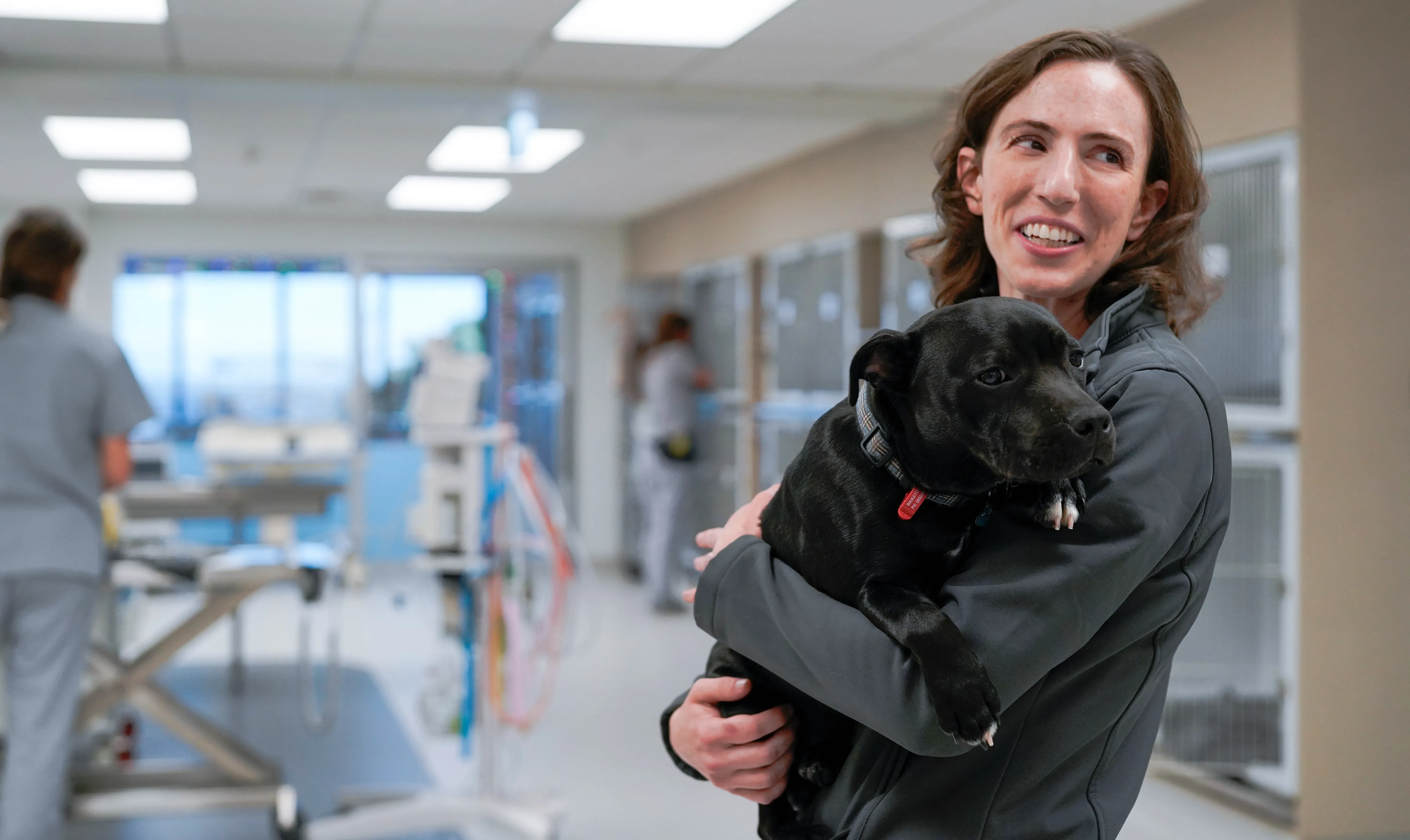 Vet tech holding black dog