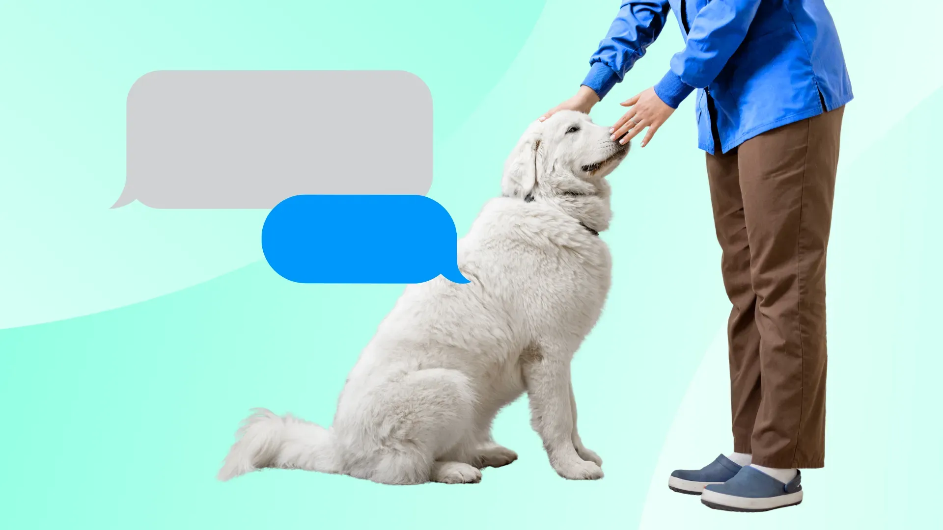 Communicating with your veterinary customers