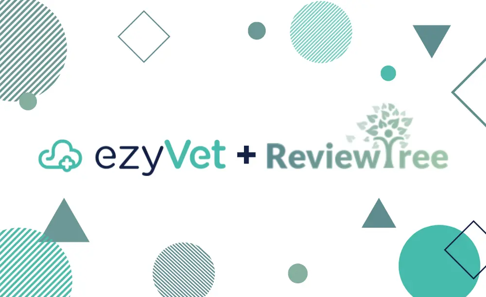 Improving practice analysis of client feedback