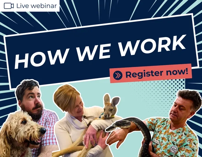 How We Work