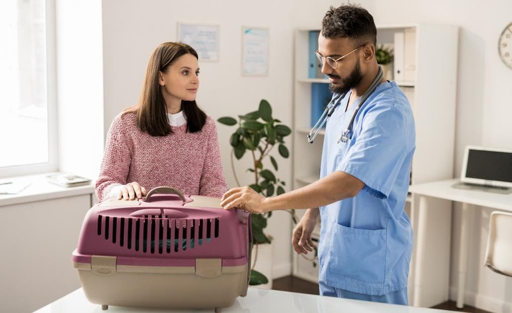Vet talking to cat owner 1030 x 630