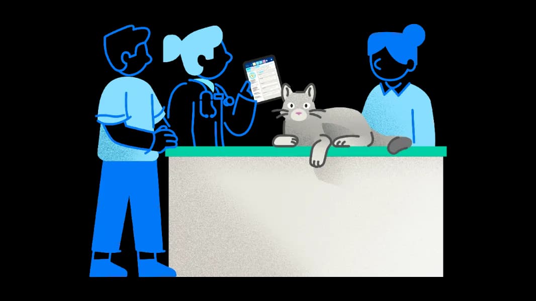 ezyVet UI on a computer and tablet